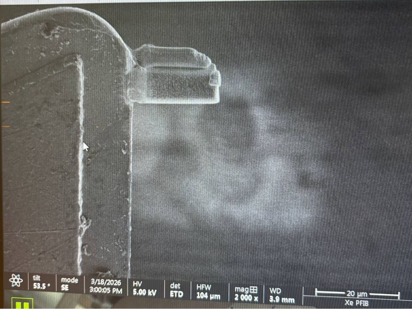 Scanning electron image of a small specimen on its support at 2,000 times magnification